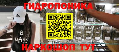винт Дубна