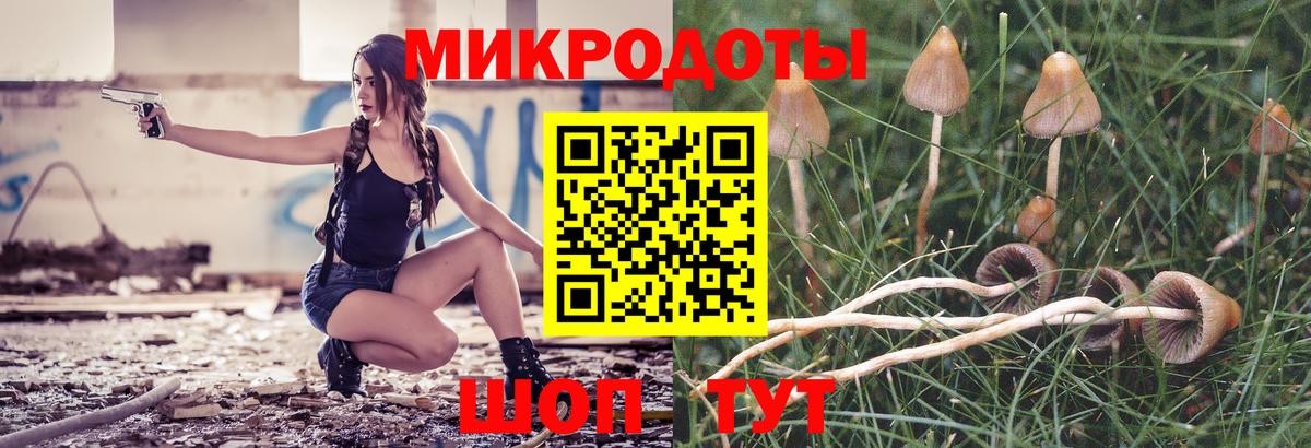 Галлюциногенные грибы Psilocybe  Вход с VPN  Рыбинск 